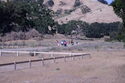 DSC_2056 (Large).JPG